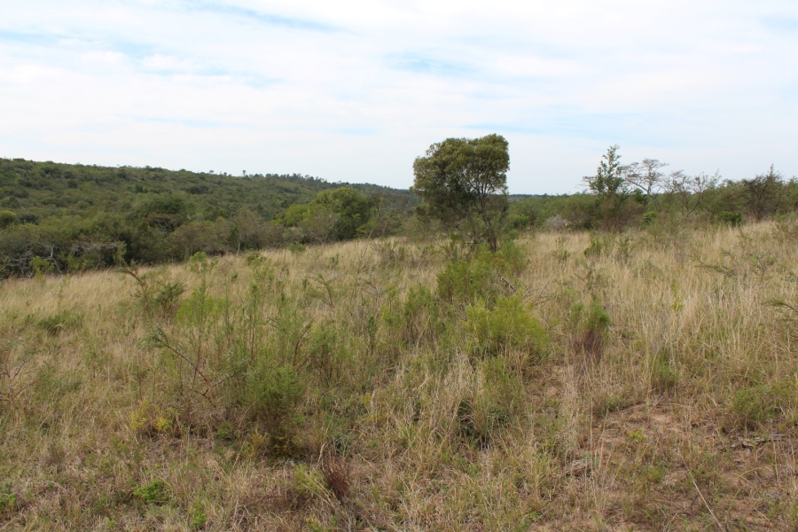 0 Bedroom Property for Sale in Bathurst Eastern Cape